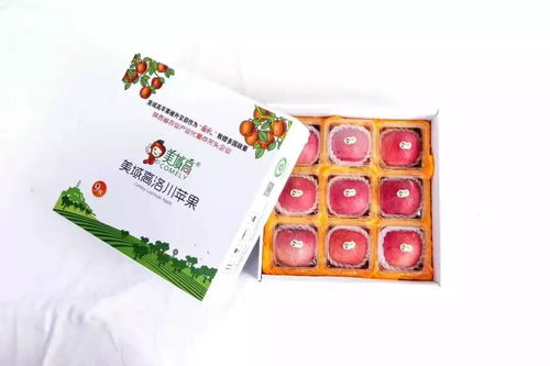 延安美域高生态农业科技股份公司 以‘三精’战略探索苹果营销新模式与中餐服务融合